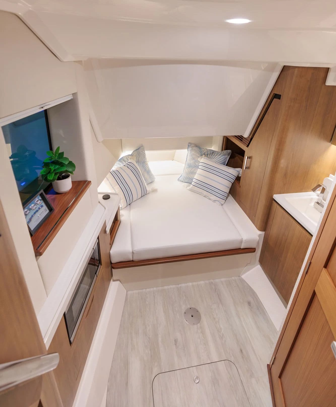 Regal 34 SAV, wnętrze 01.