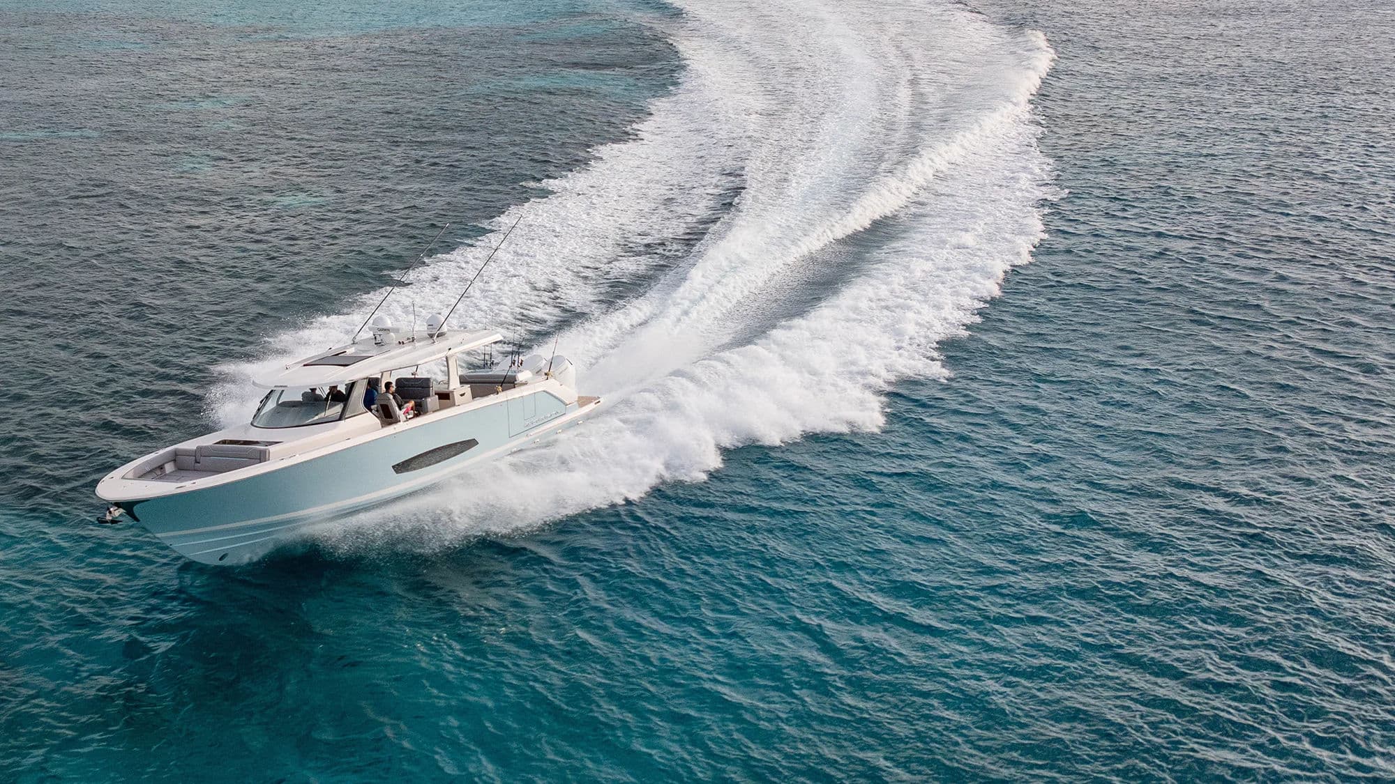 Regal SAV w szybkim przelocie po otwartej wodzie.